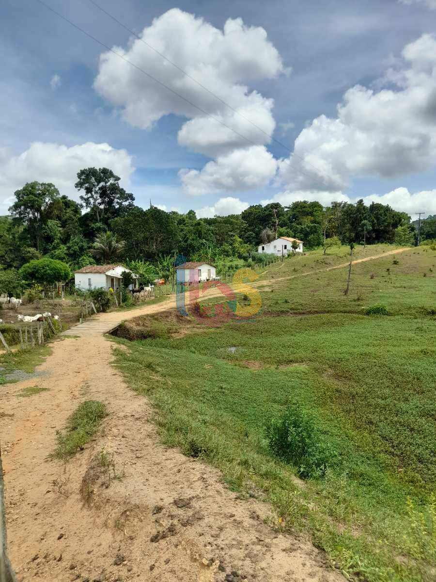 Fazenda à venda, 385000m² - Foto 7