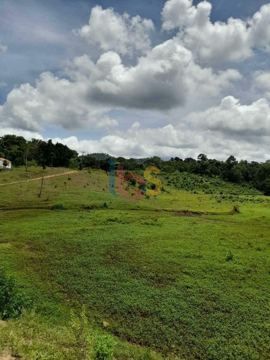 Fazenda à venda, 385000m² - Foto 5