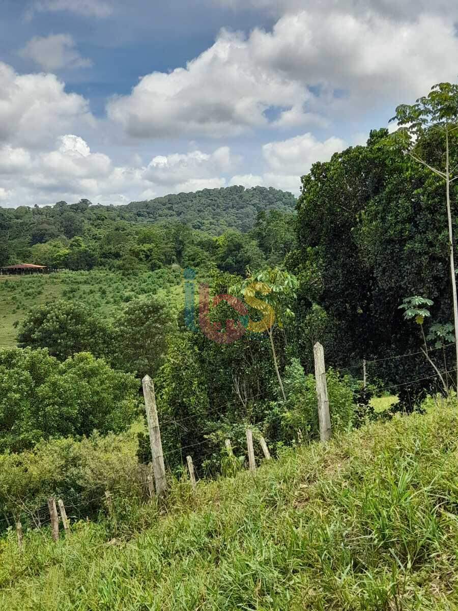 Fazenda à venda, 385000m² - Foto 11