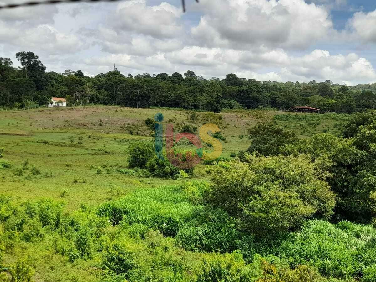 Fazenda-Sítio-Chácara, 39 hectares - Foto 2