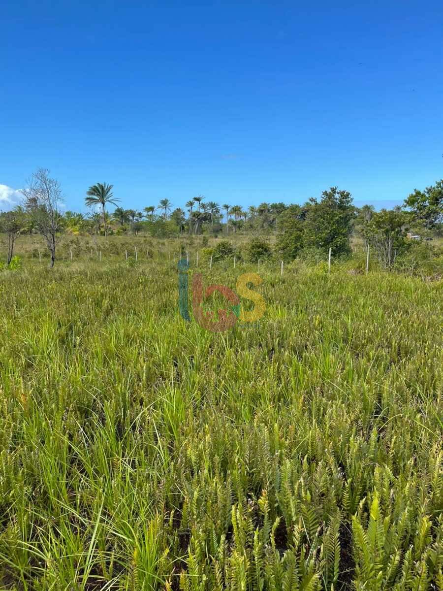 Terreno à venda, 1000m² - Foto 4