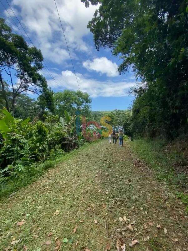 Fazenda à venda, 5007m² - Foto 15