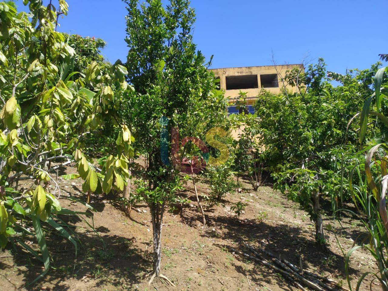 Fazenda à venda com 9 quartos, 1200m² - Foto 27