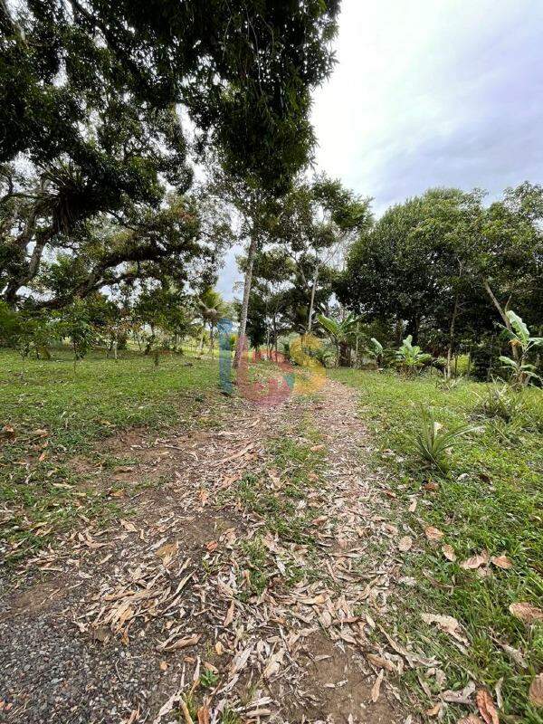 Fazenda à venda com 3 quartos, 14m² - Foto 15