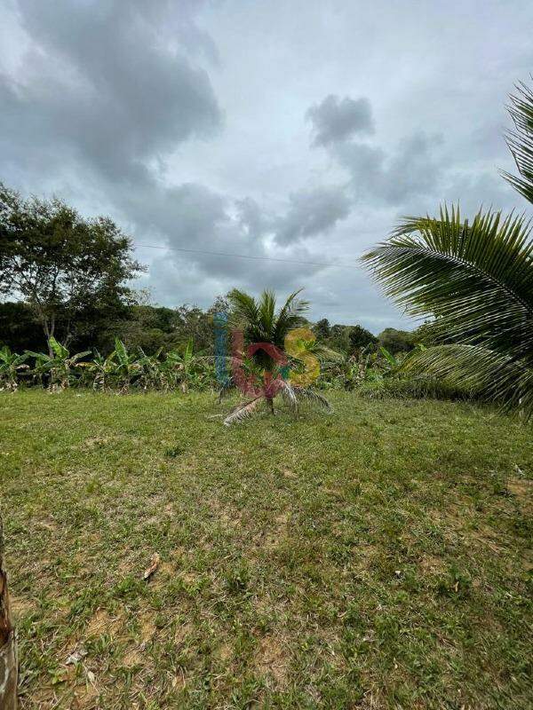 Fazenda à venda com 3 quartos, 14m² - Foto 17