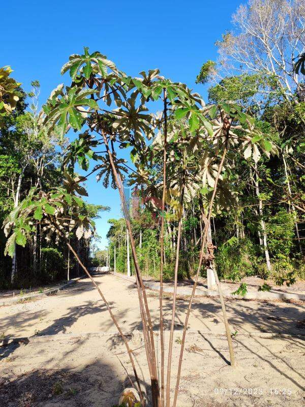 Terreno, 630 m² - Foto 2