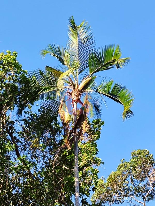 Terreno, 630 m² - Foto 15