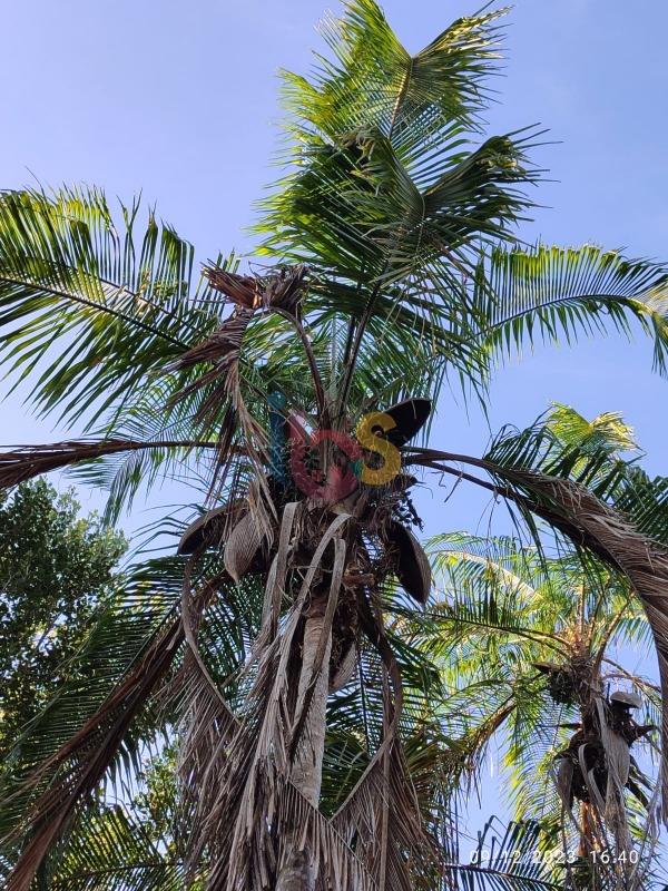 Terreno, 630 m² - Foto 13