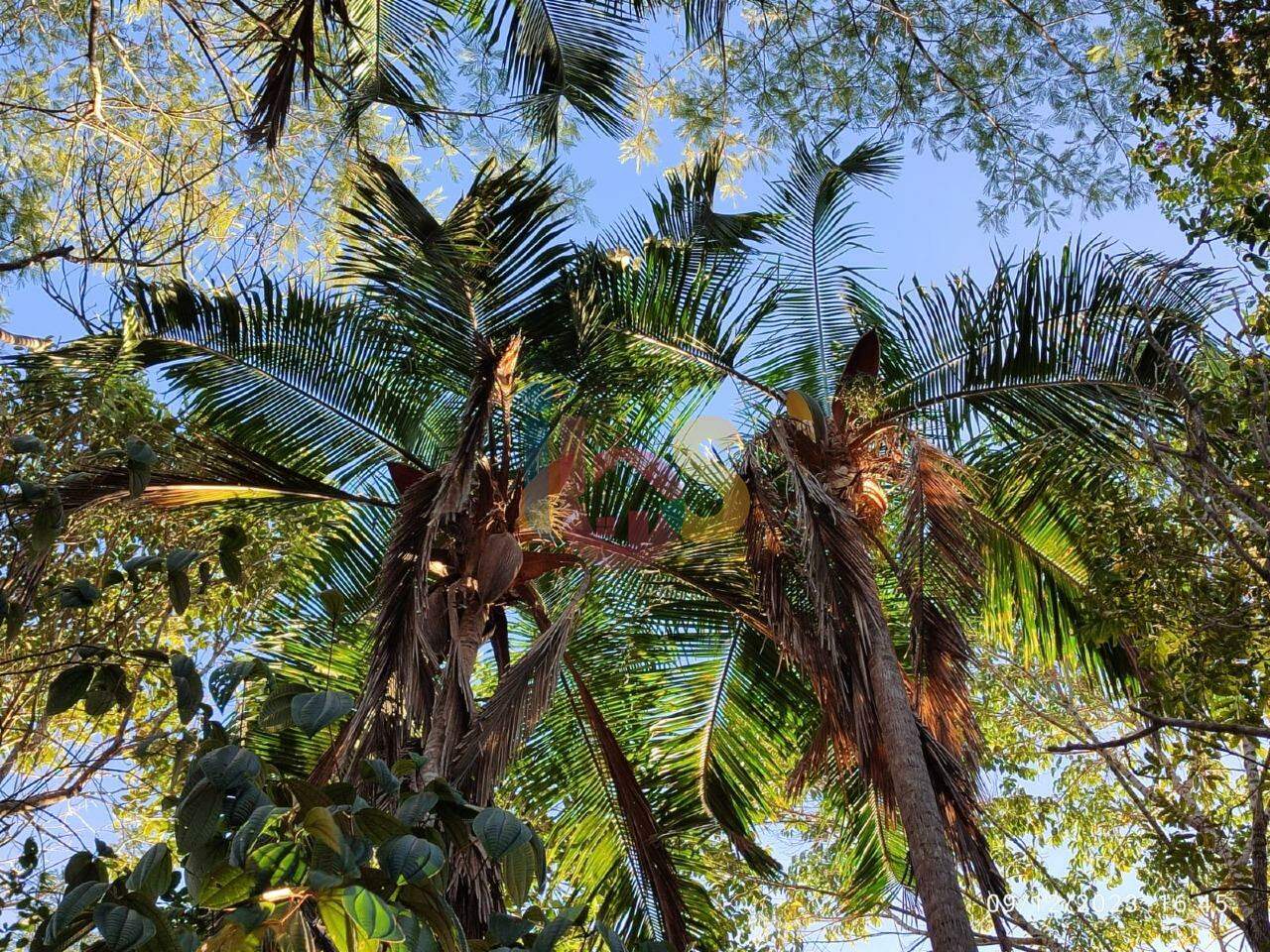 Terreno, 630 m² - Foto 14