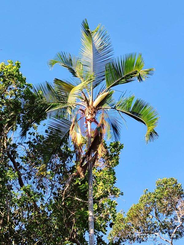 Terreno, 630 m² - Foto 15