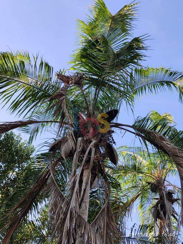 Terreno, 630 m² - Foto 13