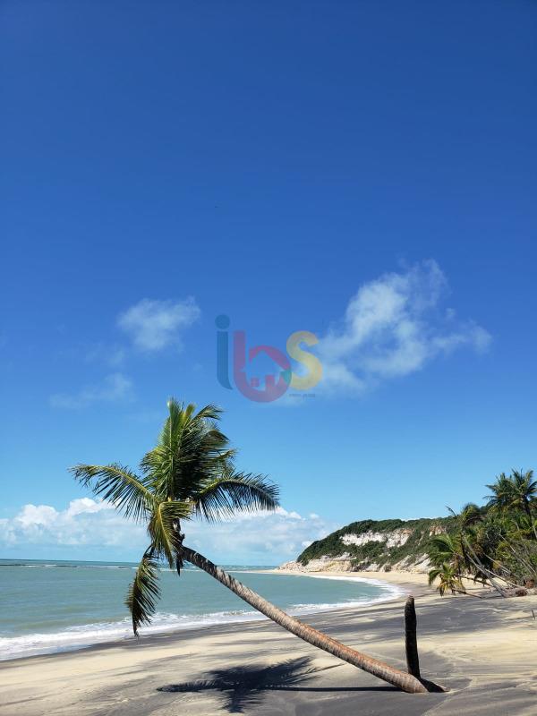 Casa, 3 quartos, 240 m² - Foto 49