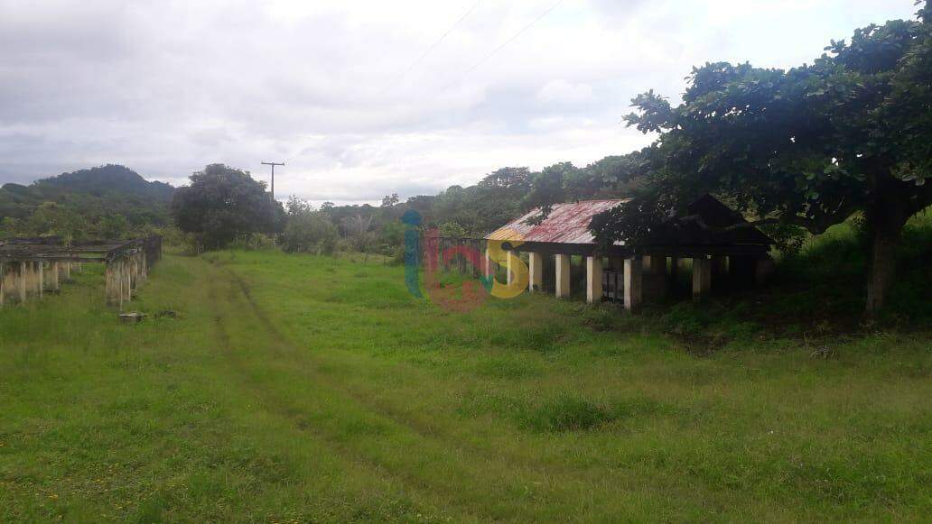 Fazenda à venda - Foto 9