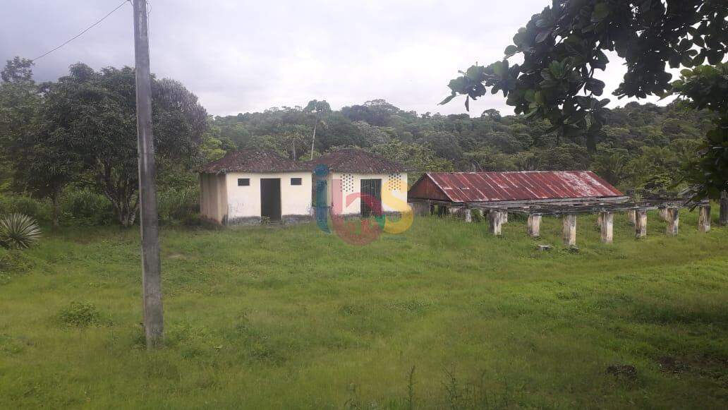 Fazenda à venda - Foto 3