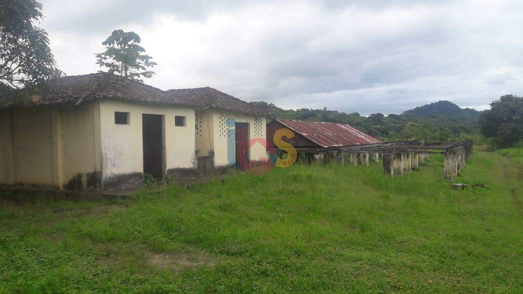 Fazenda à venda - Foto 4