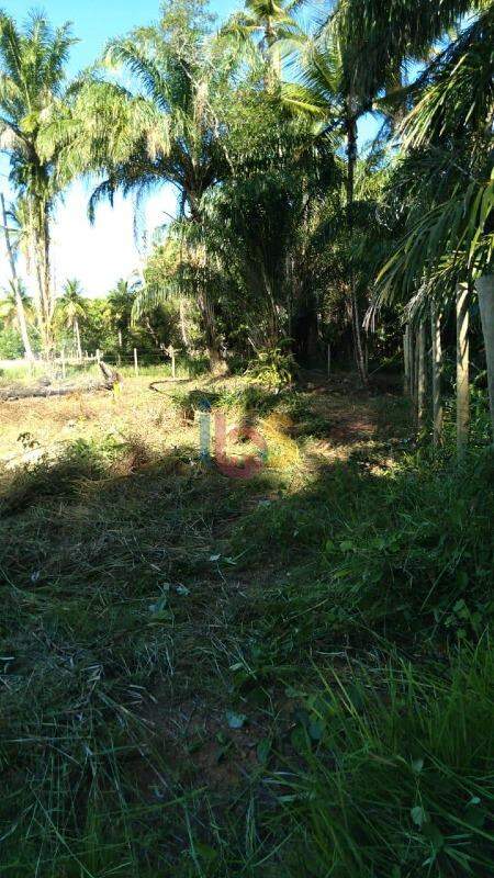 Terreno, 2000 m² - Foto 4