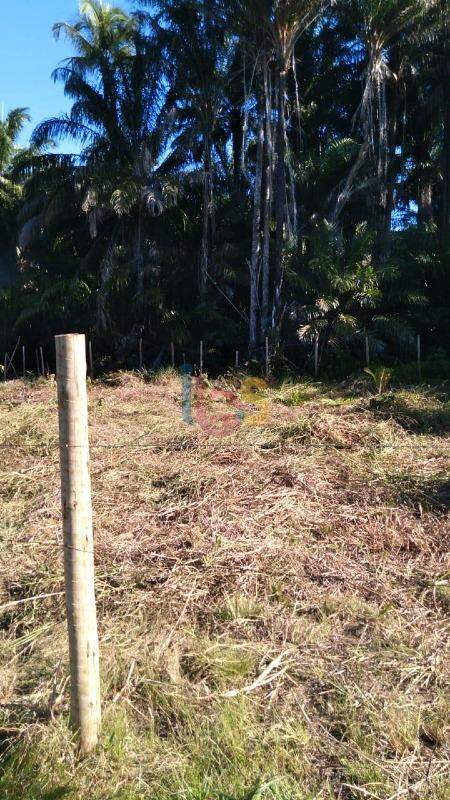 Terreno, 2000 m² - Foto 2