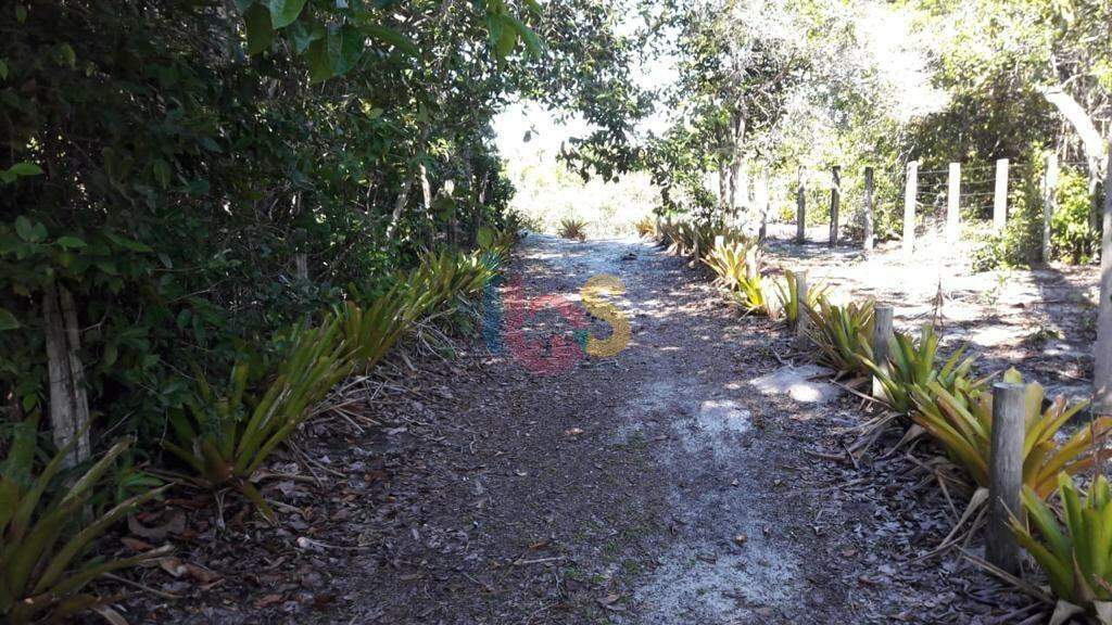 Terreno, 2000 m² - Foto 5