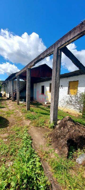 Fazenda à venda - Foto 8