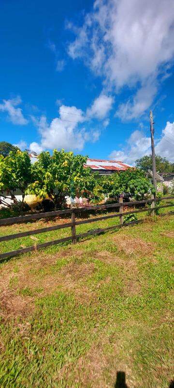 Fazenda à venda - Foto 10