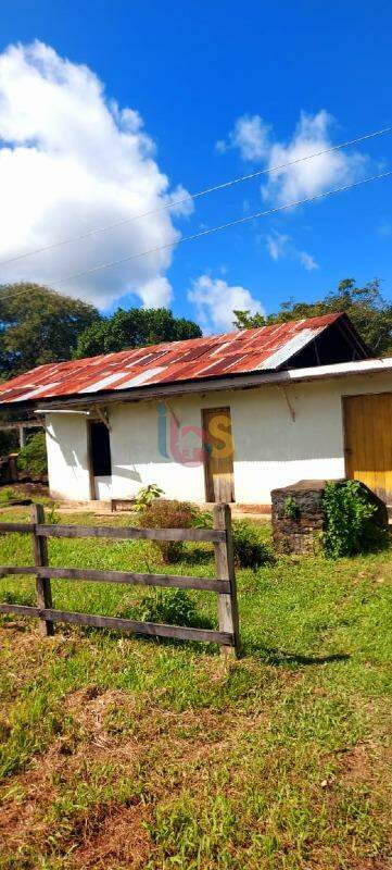 Fazenda à venda - Foto 9