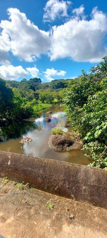 Fazenda à venda - Foto 16