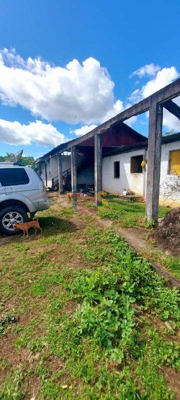 Fazenda à venda - Foto 5