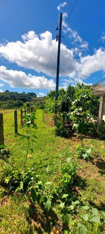 Fazenda à venda - Foto 12