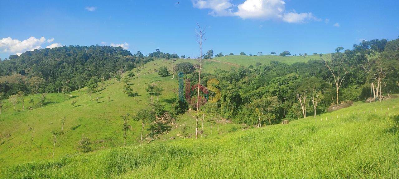 Fazenda à venda - Foto 7