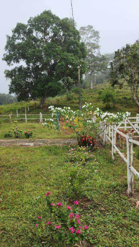 Fazenda à venda com 1 quarto, 6m² - Foto 2