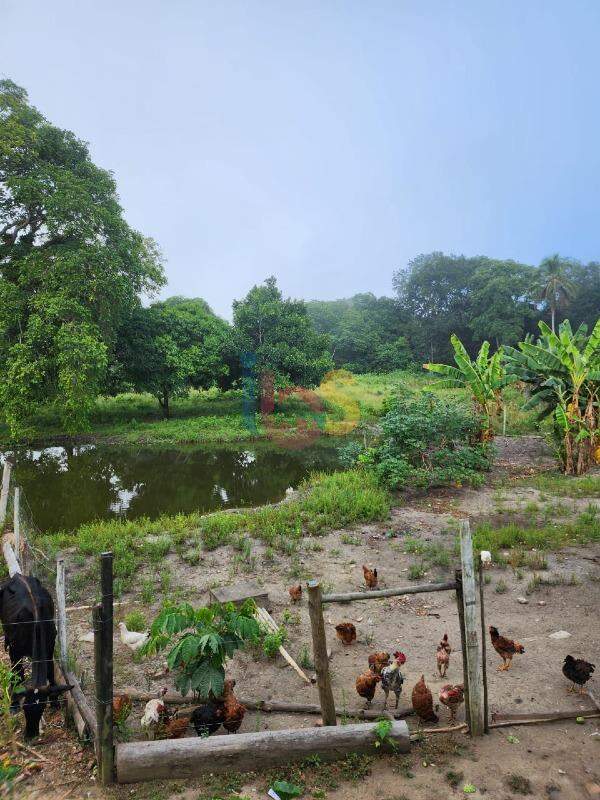 Fazenda à venda com 1 quarto, 6m² - Foto 3