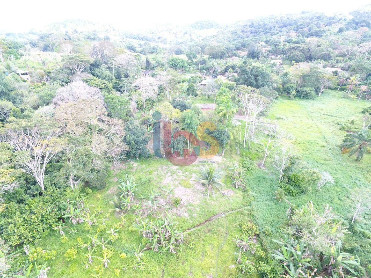 Fazenda à venda com 2 quartos, 3800m² - Foto 8