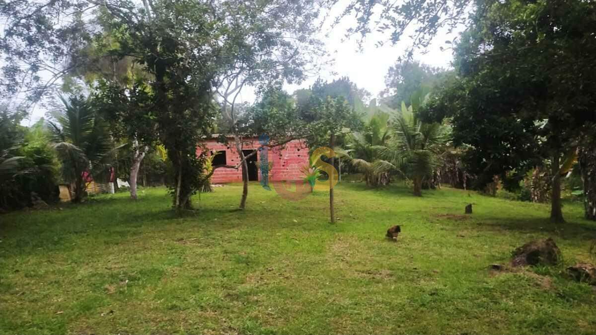 Fazenda à venda com 2 quartos, 3800m² - Foto 19