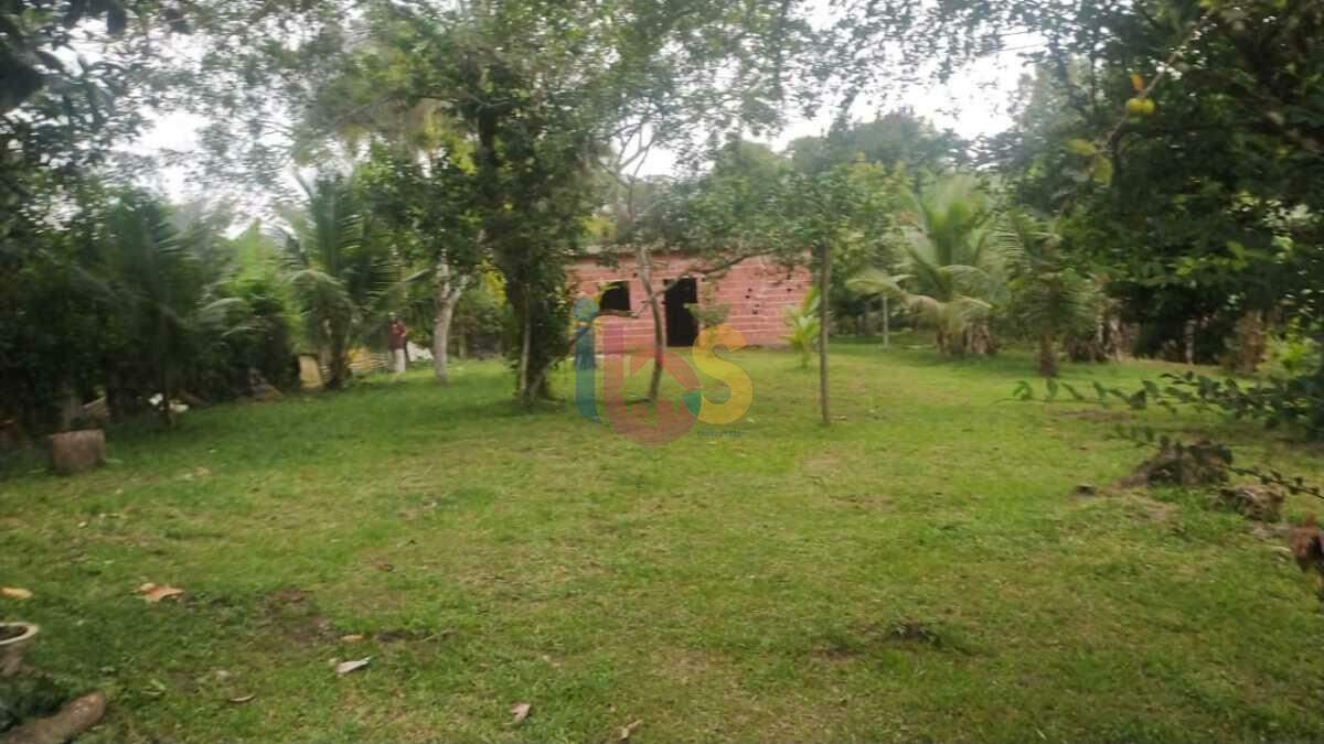 Fazenda à venda com 2 quartos, 3800m² - Foto 14