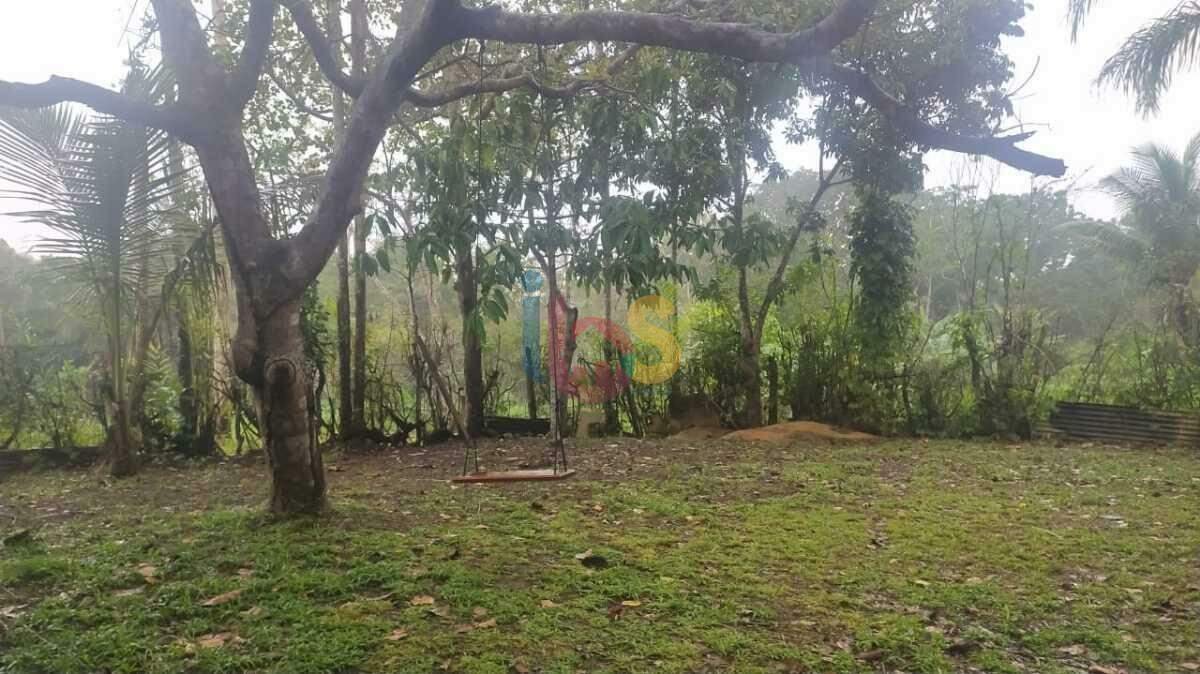 Fazenda à venda com 2 quartos, 3800m² - Foto 17