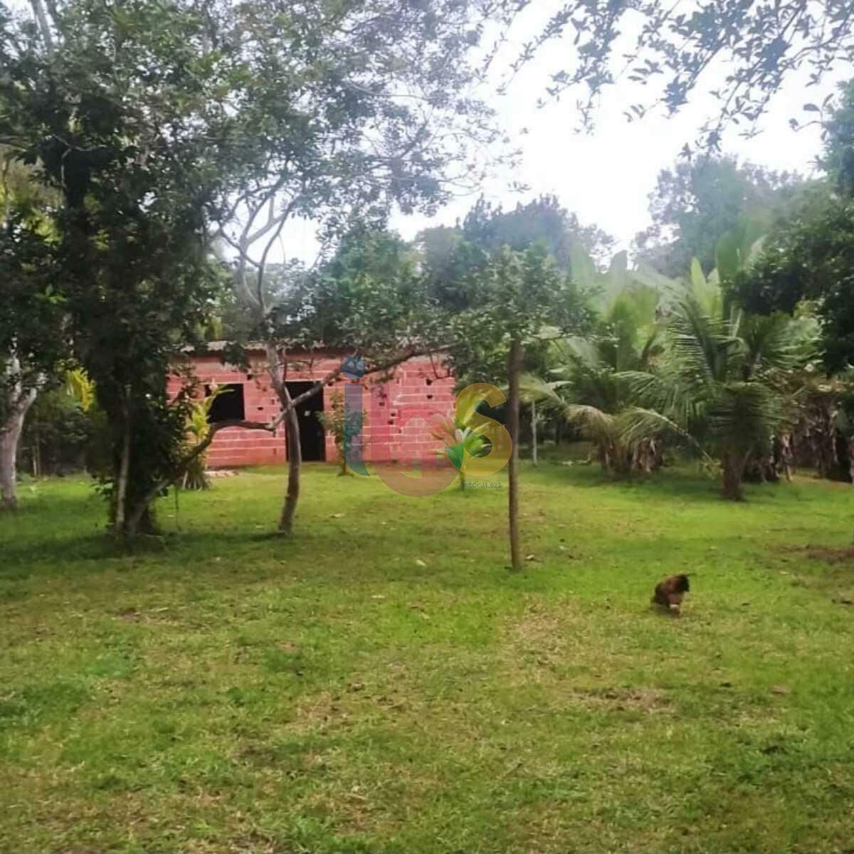 Fazenda à venda com 2 quartos, 3800m² - Foto 22