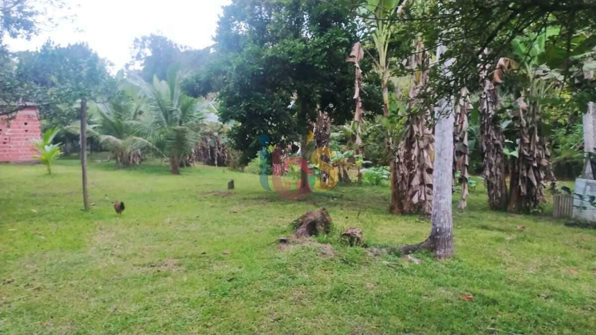 Fazenda à venda com 2 quartos, 3800m² - Foto 20