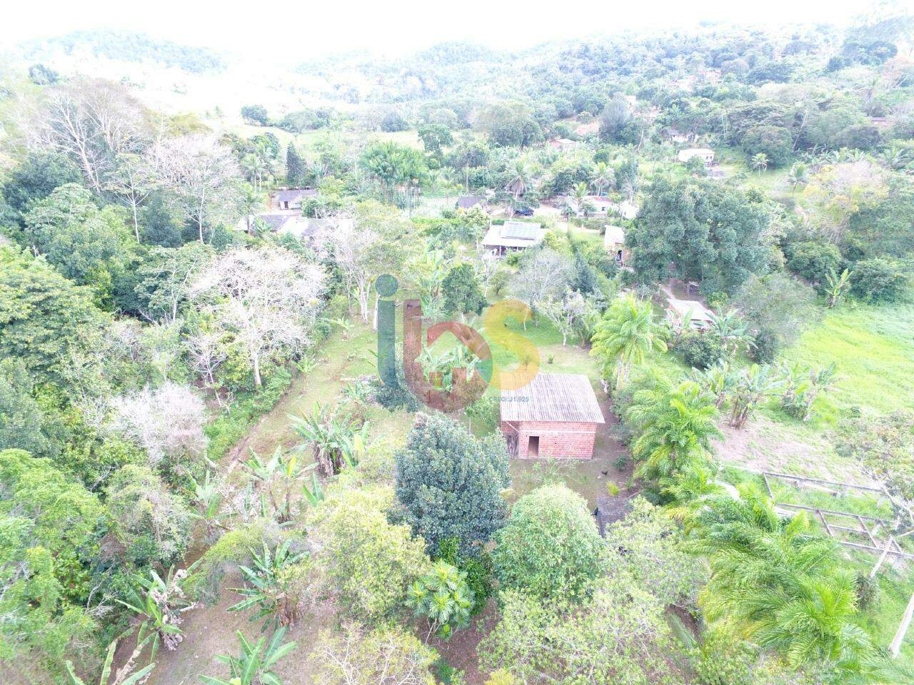 Fazenda à venda com 2 quartos, 3800m² - Foto 4