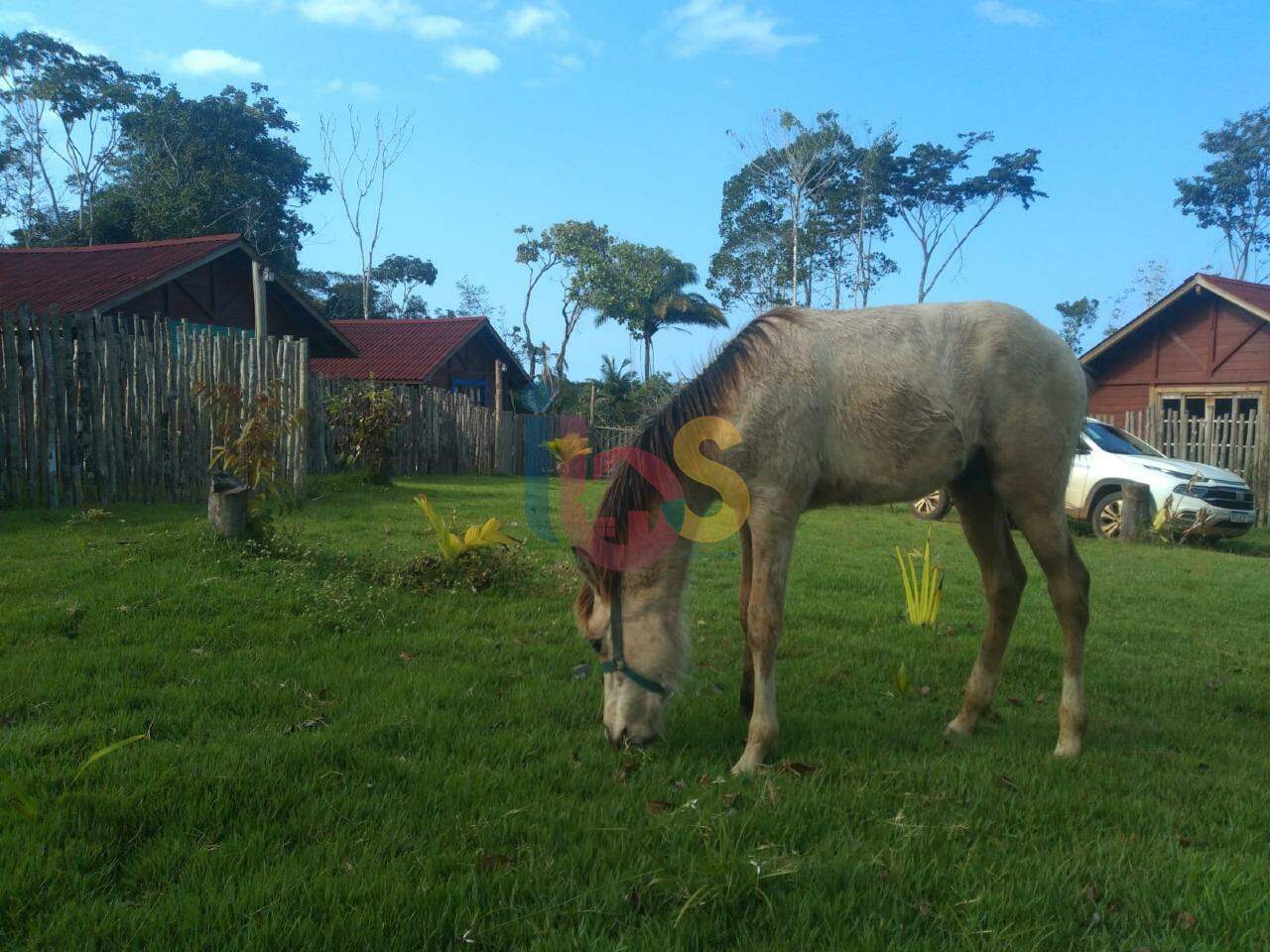 Fazenda à venda, 70000m² - Foto 7