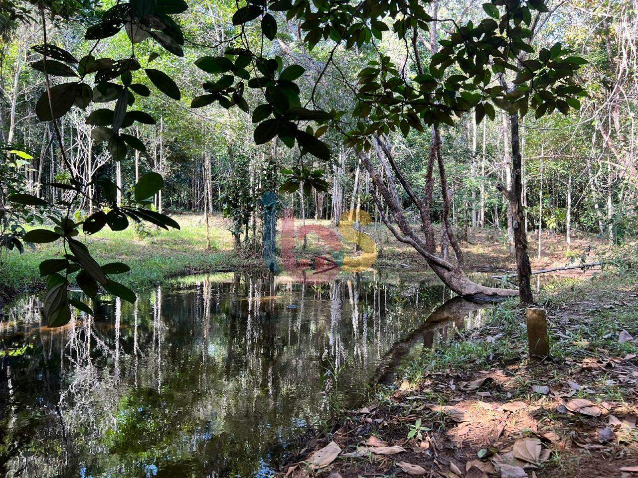 Terreno à venda, 1000m² - Foto 12