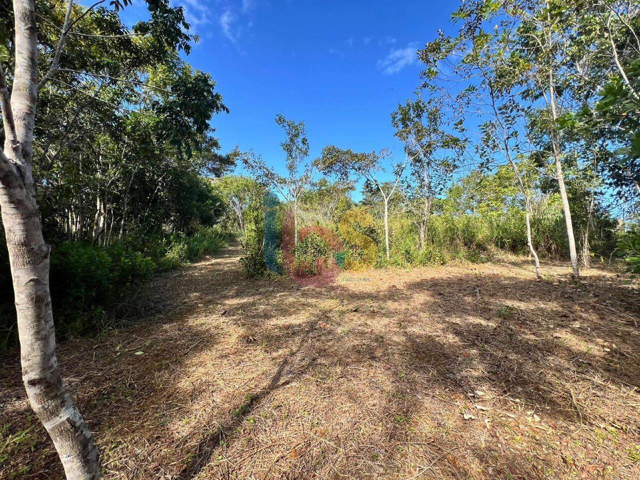 Terreno à venda, 1000m² - Foto 26