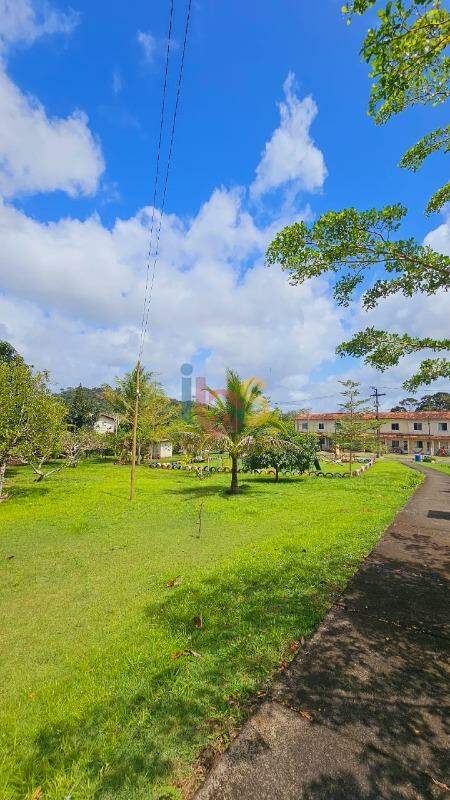 Fazenda à venda com 2 quartos, 58m² - Foto 7