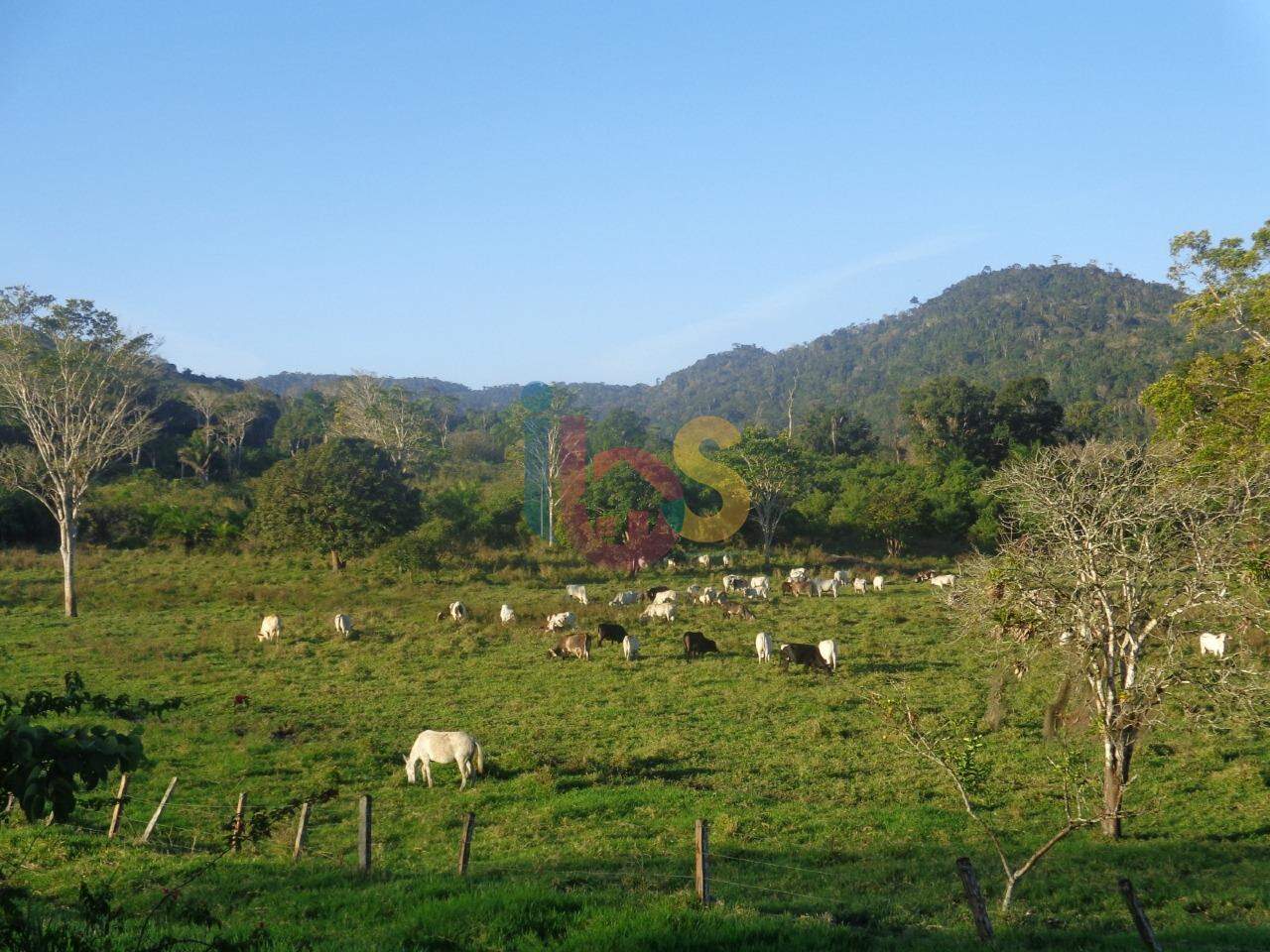 Fazenda à venda, 177m² - Foto 1