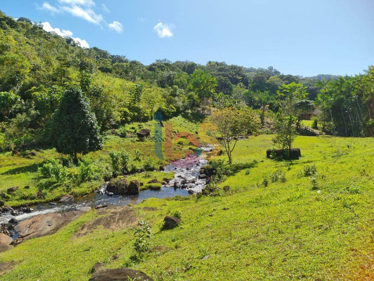 Fazenda à venda - Foto 5