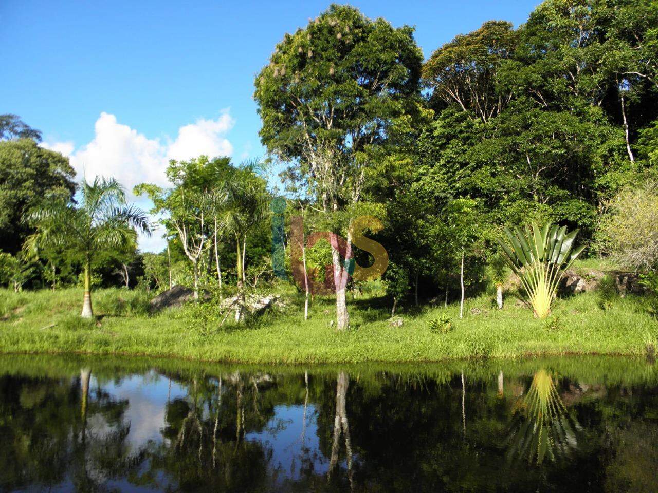 Fazenda à venda - Foto 13