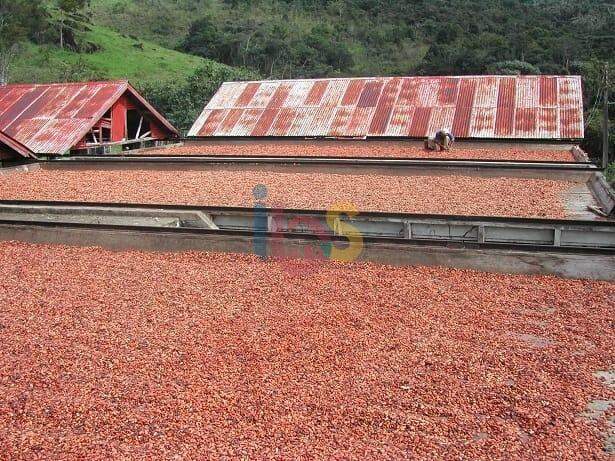 Fazenda à venda - Foto 9