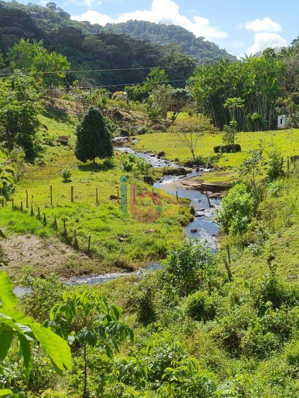 Fazenda à venda - Foto 3