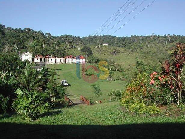 Fazenda à venda - Foto 12