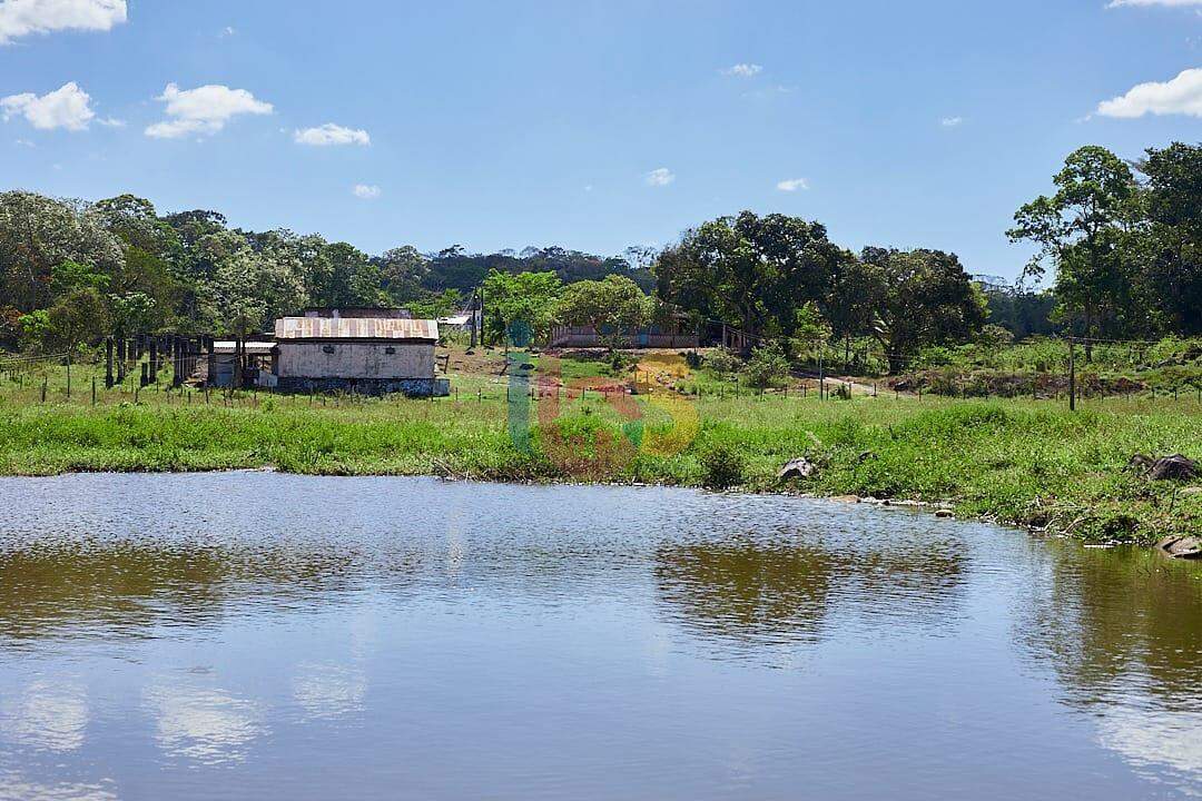 Fazenda à venda - Foto 7