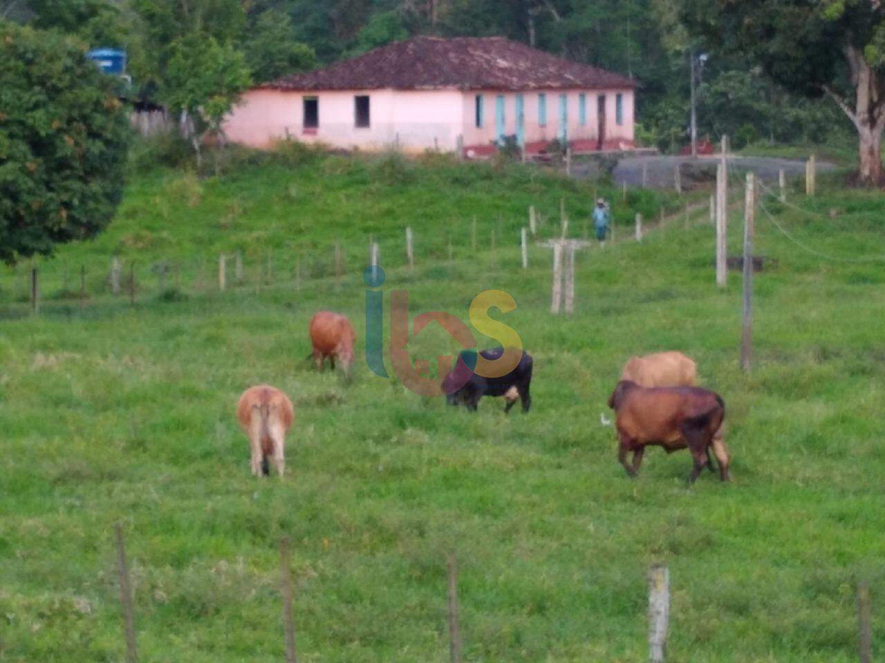 Fazenda à venda - Foto 2